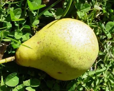 9 Must-Have Spring 2026 Runway Looks to Shop Now and Stop Thinking About