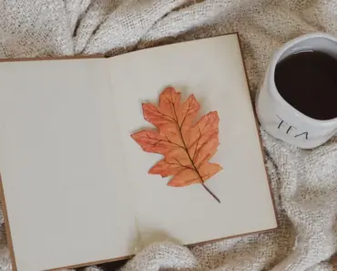 9 Top-Rated Omega-3 Supplement Brands for 2026: Expert Review & Comparison