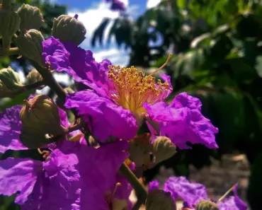 13 Must-Have Chanel Concealer and Skincare Products to Elevate Your Beauty Routine