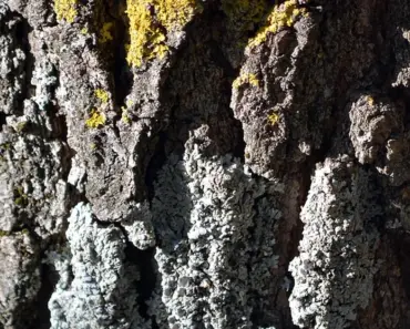 11 Must-Have Items from M&S’s Spring 2026 Collection That Landed This Week