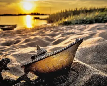 7 Miracle Scalp Oils That Will Transform Your Hair in Weeks