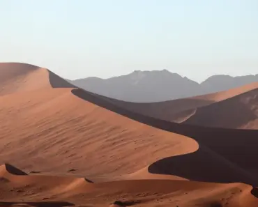 7 Drought-Tolerant Stunning Ornamental Grasses That Thrive in Neglect