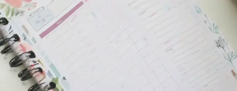 My Planner + Free Printable Daily Planner Inserts