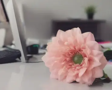 My Studioffice Got FLOR…ed