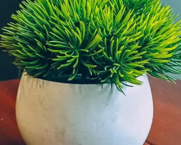 Faux Blooming Branches You Can Make