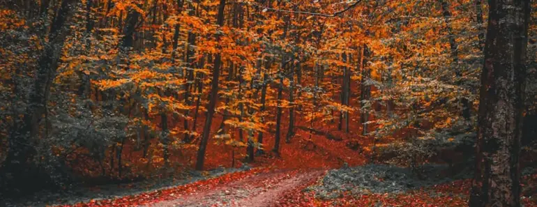 Autumn Decor: Tabletop Stack of Books Free Printable