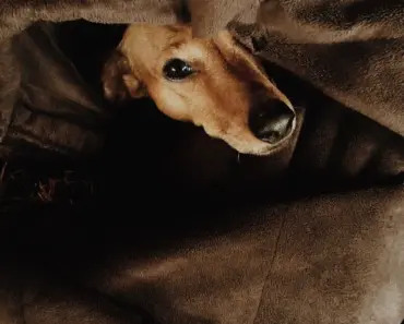 The Coziest Item to Add to Your Kitchen