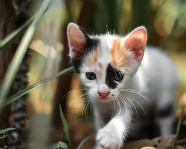The Cutest Father’s Day Gift Bag EVER! The Cutest Father’s Day Gift Bag EVER!