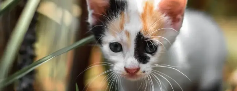 The Cutest Father’s Day Gift Bag EVER!