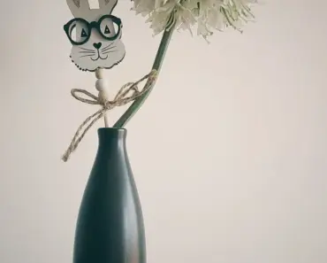 The Decorating Blues The Decorating Blues