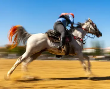 The Fast & Easy Way to Whiten Tile Grout The Fast & Easy Way to Whiten Tile Grout