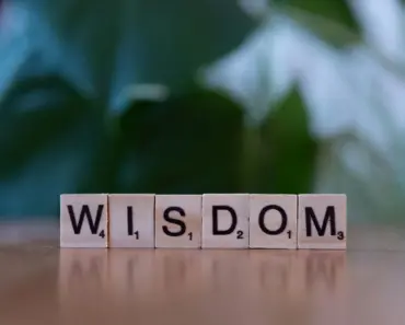 The Reason I Love Outdoor Decor