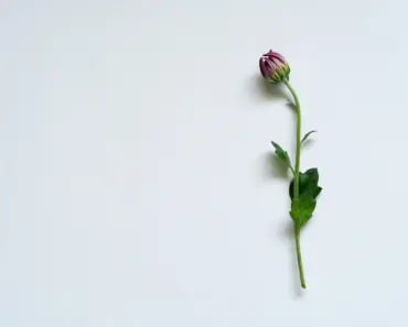 The Simple Holiday Decorating Helper Hiding in Your Christmas Storage Bin The Simple Holiday Decorating Helper Hiding in Your Christmas Storage Bin