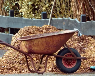 11 Front Yard Landscaping Ideas with Rocks and Mulch