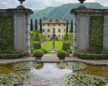 11 Cypress Trees You Can Easily Grow in Your Garden