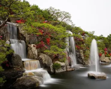 5 Secrets to Grow & Care for Azaleas