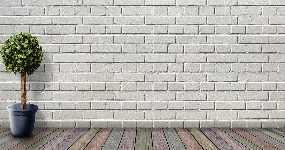remove mold inside walls