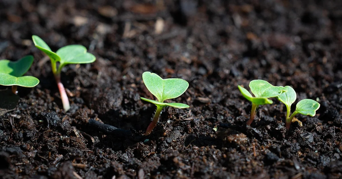 thrive on neglect