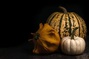 5 Key Tips to Start Squash Seeds Indoors