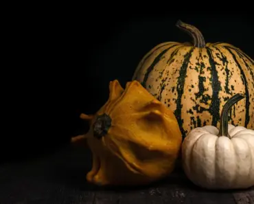 5 Key Tips to Start Squash Seeds Indoors