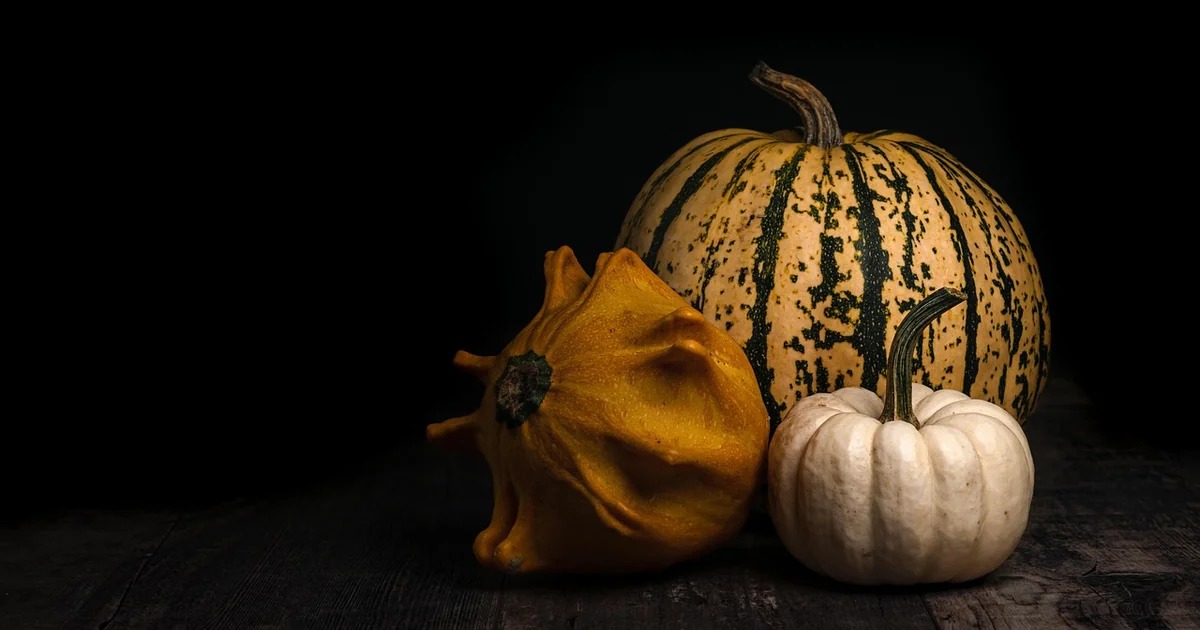 squash seeds indoors