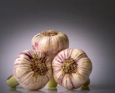 7 Low-Maintenance Perennial Vegetables: Plant Once, Harvest Forever