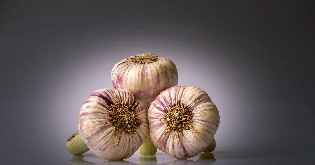 perennial vegetables low maintenance