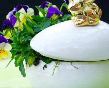 7 Ways to Make Sugared Flowers Decorate Desserts 7 Ways to Make Sugared Flowers Decorate Desserts