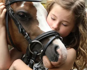 13 Best Hobbies for Introverts & Loners (2026)