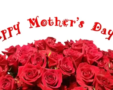 7 Mother’s Day Gifts: The Ultimate Guide