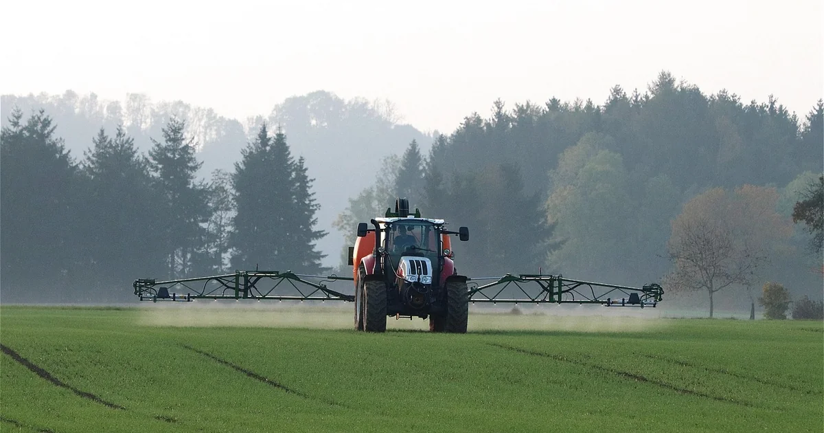 chemical free weed control