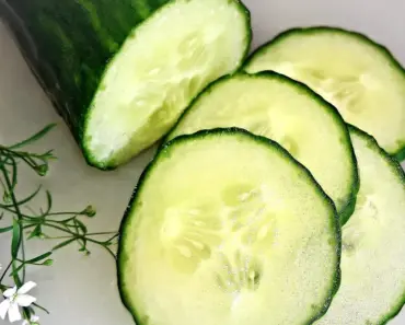 Our 5 Favorite Cucumber Varieties for 2026 Our 5 Favorite Cucumber Varieties for 2026