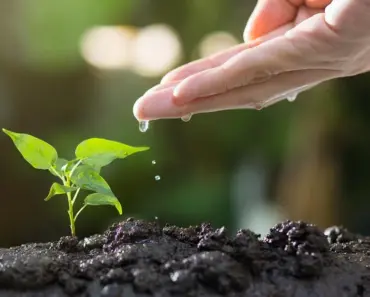 11 Quick & Clever Small Space Container Gardening Ideas