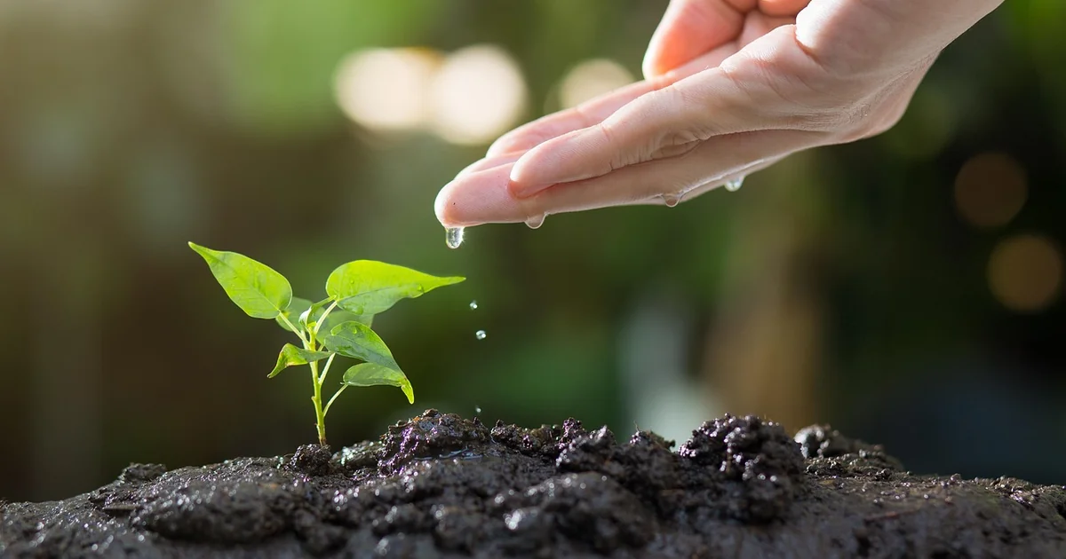 small space container gardening