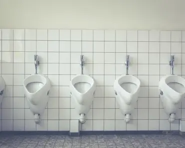 6 Toilet Flush Valve Types: Choose the Best!