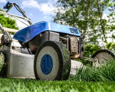 5 Japanese Gardening Tools That Make Life Easier