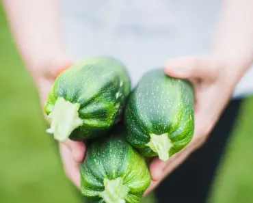 7 Secrets to Stake & Prune Zucchini Plants