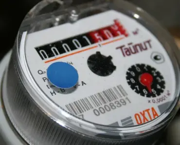 5 Ways a $15 Moisture Meter Saves Plants & Water