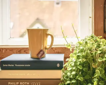 Meet Your Zodiac Houseplant: Secretly Says About You Meet Your Zodiac Houseplant: Secretly Says About You