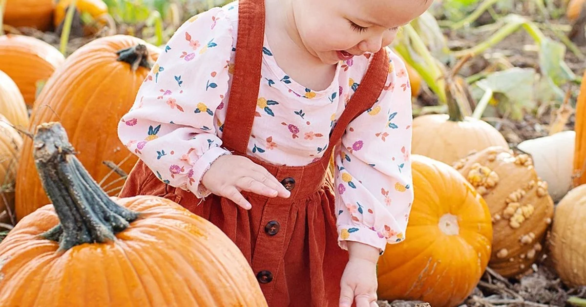 toddler gear picks