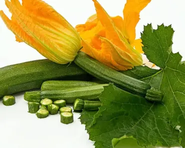 8 Easy Veggies to Plant in May: Your Guide