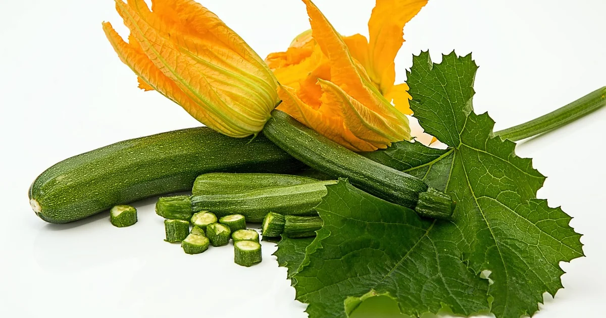 easy veggies to plant