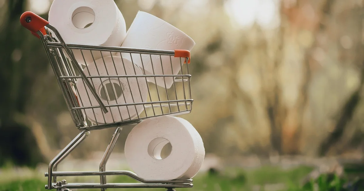 editors shopping picks