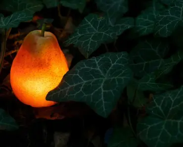 13 Creative Garden Lighting DIY Ideas