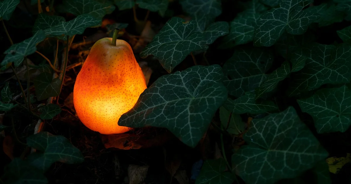 garden lighting ideas