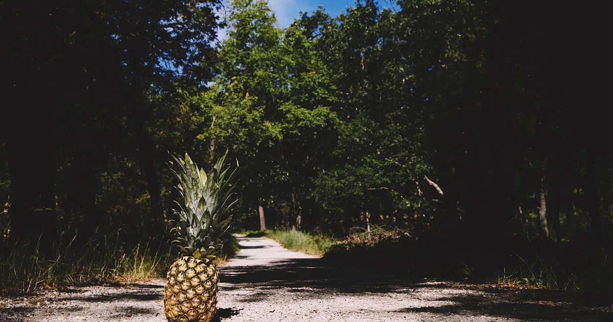 budget summer finds