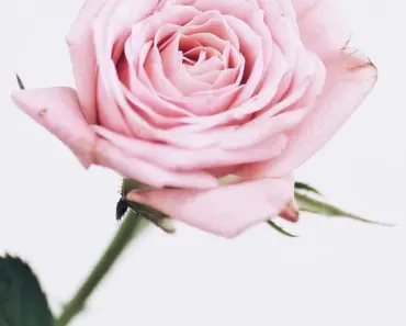 5 Steps to Jonathan Anderson’s Dior Spring Beauty Aesthetic 5 Steps to Jonathan Anderson’s Dior Spring Beauty Aesthetic
