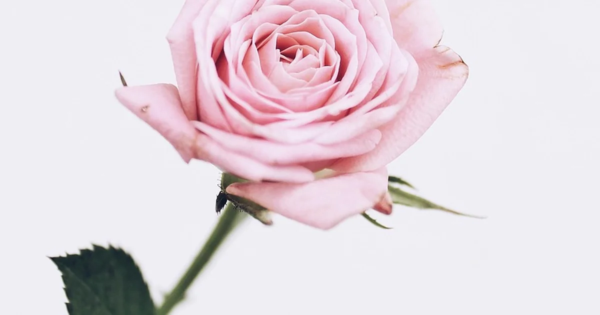 dior spring beauty aesthetic