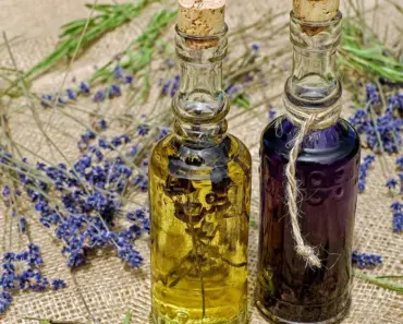 9 Best Body Shimmer Oils, According to a Beauty Writer