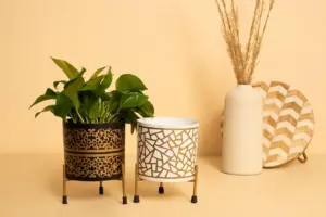 5 Reasons Lidl’s $30 Planter Box Trellis Is Worth It